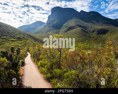 Sentier de randonnée Bluff Knoll (1095m). Parc national de Stirling Ranges, Australie occidentale Banque D'Images