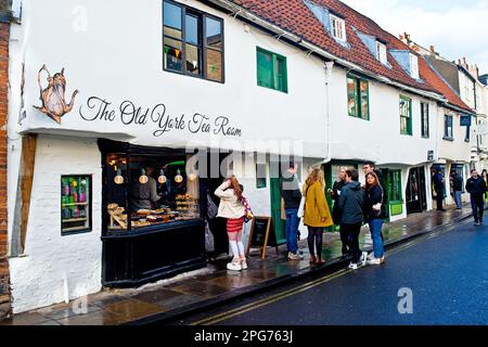 The Old York Tea Room, Our Lady Row Cottages, les plus anciens bâtiments de York, Angleterre Banque D'Images