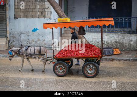 Gaza, Palestine. 20th mars 2023. La vie quotidienne à Gaza sur la route lors de fortes pluies dans la ville de Gaza, sur 20 mars 2023. Photo de Habboub Ramez/ABACAPRESS.COM crédit: Abaca Press/Alay Live News Banque D'Images