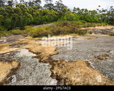 Suivez le marqueur à distance sur une dalle de granit sous Hayward Peak sur la Nancy Peak Walk, dans le parc national de Porongurup, en Australie occidentale Banque D'Images