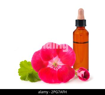 Fleurs de géranium avec bouteille avec essence isolée sur fond blanc Banque D'Images