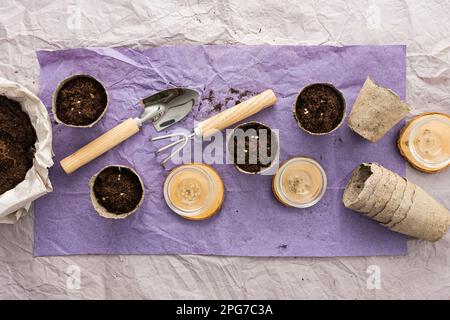 Plantation de plants de tomates, vue de dessus sur une table avec pots écologiques et sac avec sol, truelle de jardin et un râteau Banque D'Images