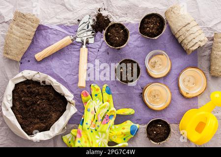 Plantation de plants de tomates, vue de dessus sur une table avec pots écologiques et sac avec sol et gants, truelle de jardin et un râteau Banque D'Images