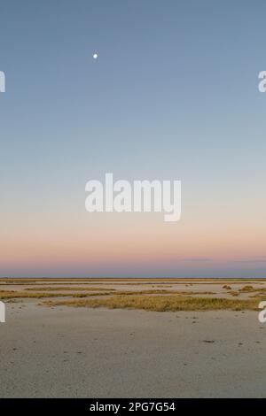 Moody Makgadikgadi paysage avec une pleine lune au crépuscule Banque D'Images