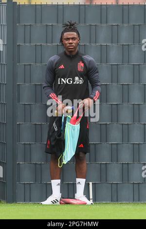 Tubize, Belgique. 21st mars 2023. Johan Bakayoko en Belgique photographié lors d'une séance d'entraînement de l'équipe nationale belge de football Red Devils, mardi 21 mars 2023, au siège de l'Association royale belge de football RBFA à Tubize. Les Red Devils se préparent pour les prochains matchs contre la Suède et l'Allemagne. Crédit: Bruno Fahy/Belga photo/Alamy Live News Banque D'Images