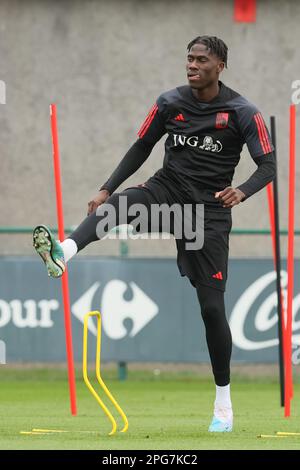 Tubize, Belgique. 21st mars 2023. Amadou Onana de Belgique photographié lors d'une session d'entraînement de l'équipe nationale belge de football Red Devils, mardi 21 mars 2023, au siège de l'Association royale belge de football RBFA à Tubize. Les Red Devils se préparent pour les prochains matchs contre la Suède et l'Allemagne. Crédit: Bruno Fahy/Belga photo/Alamy Live News Banque D'Images