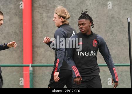 Tubize, Belgique. 21st mars 2023. Romeo Lavia en Belgique photographié lors d'une séance d'entraînement de l'équipe nationale belge de football Red Devils, mardi 21 mars 2023, au siège de l'Association royale belge de football RBFA à Tubize. Les Red Devils se préparent pour les prochains matchs contre la Suède et l'Allemagne. Crédit: Bruno Fahy/Belga photo/Alamy Live News Banque D'Images