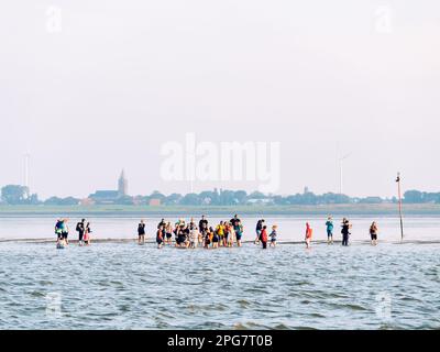 Groupe de personnes randonnée au sable sur la mer des Wadden à marée basse au large de la côte de Den Oever, nord-Hollande, pays-Bas Banque D'Images