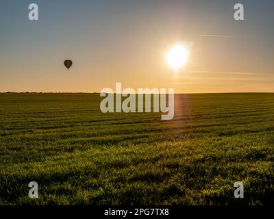 Silhouette de montgolfière survolant les prairies de campagne près d'Ootmarsum au coucher du soleil, Overijssel, pays-Bas Banque D'Images