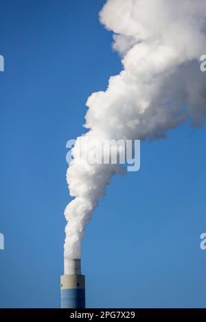 Ruisseau sortant de la pipe de Onyx Power Centrale Rotterdam à la Maasvlakte aux pays-Bas Banque D'Images