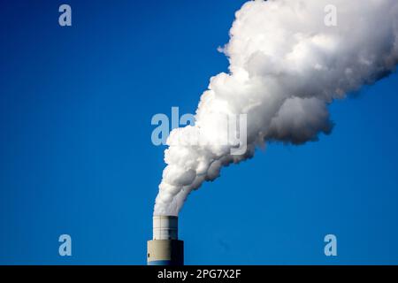 Ruisseau sortant de la pipe de Onyx Power Centrale Rotterdam à la Maasvlakte aux pays-Bas Banque D'Images