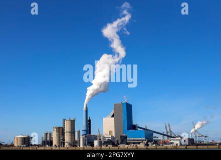 Ruisseau sortant de la pipe de Onyx Power Centrale Rotterdam à la Maasvlakte aux pays-Bas Banque D'Images