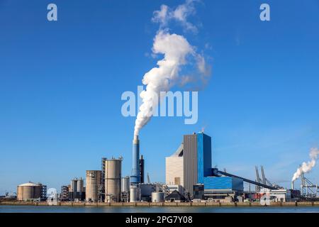 Ruisseau sortant de la pipe de Onyx Power Centrale Rotterdam à la Maasvlakte aux pays-Bas Banque D'Images