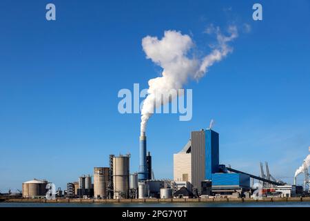 Ruisseau sortant de la pipe de Onyx Power Centrale Rotterdam à la Maasvlakte aux pays-Bas Banque D'Images