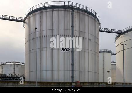 Réservoirs pour le stockage de pétrole et de petro au port de Pernis, dans le port de Rotterdam, aux pays-Bas Banque D'Images