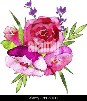 Bouquet de fleurs d'aquarelle dessinées à la main de roses roses, de pavot Banque D'Images