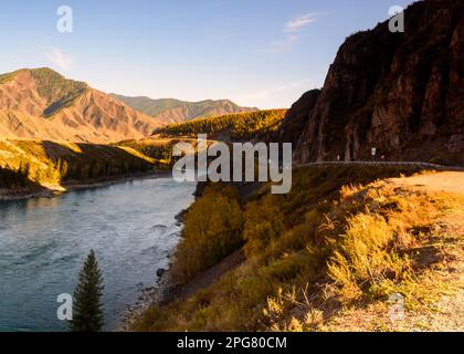 La route de montagne Chuisky Trakt va sous un rocher à l'ombre près de la rivière Katun en Altaï en automne en Russie. Banque D'Images