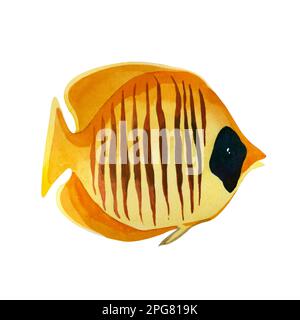 Poissons tropicaux. Aquarelle illustration d'un poisson corail jaune vif avec des bandes brunes et un point sombre sur sa tête, dessiné à la main en aquarelle sur un coup Banque D'Images