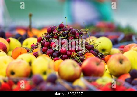 Cerise mûre et fruits variés avec une mise au point sélective Banque D'Images