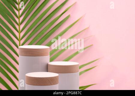 Plancher minimal de plan d'examen de podium avec un fond de page pastel rose de palmier tropical vert feuille rose.beauté cosmétique naturel placement de produit promotion stand d Banque D'Images