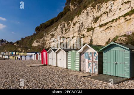 Cabanes de plage au pied des falaises à Beer Beach, Seaton, Devon UK en mars Banque D'Images