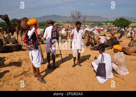 Hommes et chameaux indiens à la foire aux chameaux de Pushkar (Pushkar Mela) Banque D'Images