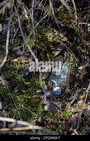 bouteille en verre photo posée sur le sol dans les bois Banque D'Images