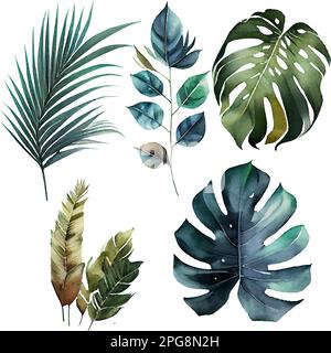 illustration vectorielle isolée du feuillage exotique vert grande feuille Illustration de Vecteur