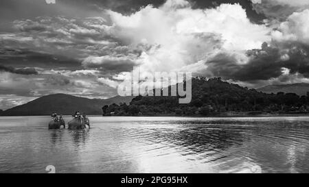 Les touristes vietnamiens se rendent sur le dos de trois éléphants dans un lac au village de la minorité ethnique de Buon Jun Mnong, lien son, Vietnam. Banque D'Images