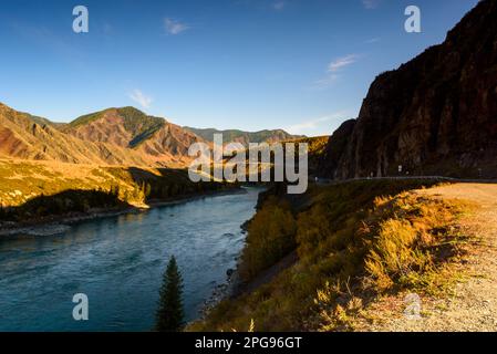 La route de montagne Chuisky Trakt va sous un rocher à l'ombre à côté de la rivière Katun en Altaï dans la soirée en automne en Russie. Banque D'Images