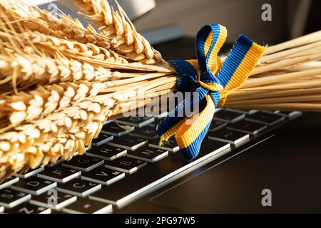 Les épillets de blé attachés avec un ruban du drapeau de l'Ukraine se trouvent sur un clavier noir d'ordinateur portable, Ukraine Banque D'Images