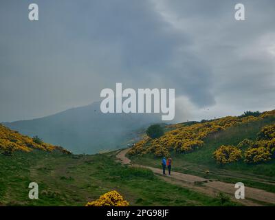 Gorge jaune brûlée dans un feu de brousse sur le siège d'arthurs, la colline emblématique à côté d'Édimbourg, la capitale de l'Écosse. Banque D'Images