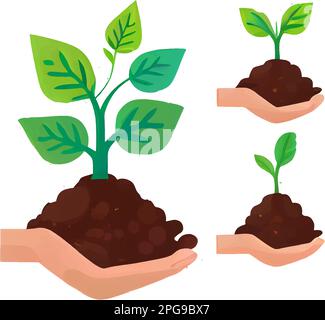 définir l'illustration vectorielle de la croissance de la plante sur le sol dans les mains isoler Illustration de Vecteur