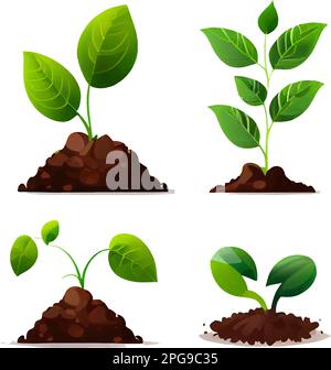 définir l'illustration vectorielle de la croissance de la plante sur le sol dans les mains isoler Illustration de Vecteur