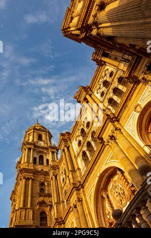 Cathédrale de Málaga une église catholique romaine dans la ville de Málaga en Andalousie, dans le sud de l'Espagne, construite dans le style Renaissance entre 1528 et 1782. Banque D'Images