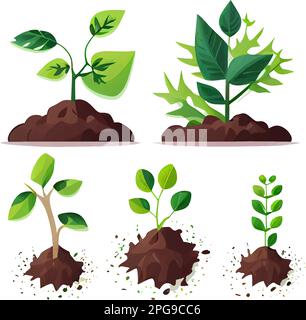 définir l'illustration vectorielle de la croissance de la plante sur le sol dans les mains isoler Illustration de Vecteur