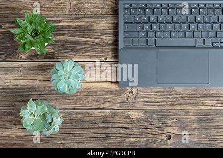 Un ordinateur portable sur une table en bois avec des plantes de maison succulentes, le concept de travail à la maison, le travail à distance, l'enseignement indépendant et en ligne, vue de dessus avec copie Banque D'Images