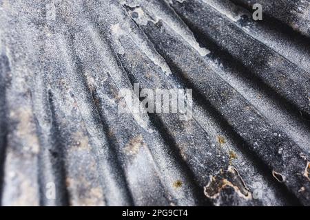 Photo macro d'une mer grise comme fond naturel, DOF peu profond Banque D'Images