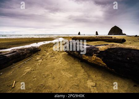 Image grand angle de la plage de Cannon Beach à Haystack Rock sous un ciel orageux. Le bois flotté et un ruisseau guident l'œil vers l'océan. Banque D'Images