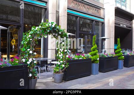 Japon, Tokyo, Marunouchi, rue Marunouchi Nakadori, café, Banque D'Images