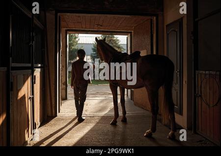 Femme caressant son cheval en se tenant au-dessus de la barrière stable Banque D'Images