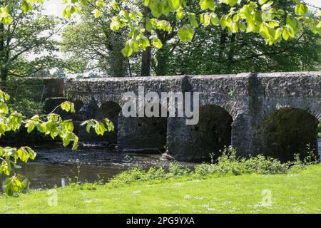 Deerpark Bridge un ancien pont en pierre voûté au-dessus de six Mile Water River à Antrim dans les jardins du château d'Antrim le jour ensoleillé du printemps en mai. Banque D'Images