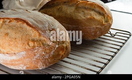 Pain croustillant réalisé à la main sur une grille de refroidissement en métal, deux pain rustique vue rapprochée. Banque D'Images