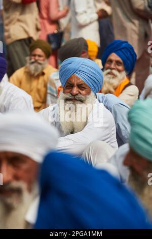 Amritsar, Punjab, Inde - ancien Sikh avec une longue barbe blanche assise parmi d'autres hommes au temple d'or pendant diwali Banque D'Images