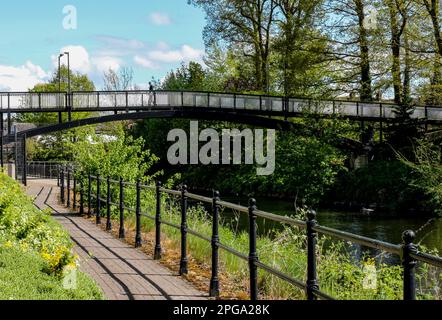 Promenade en bord de rivière sur la rivière six Mile Antrim en Irlande du Nord au printemps avec un homme traversant la rivière sur une passerelle en métal le jour ensoleillé du printemps de mai. Banque D'Images