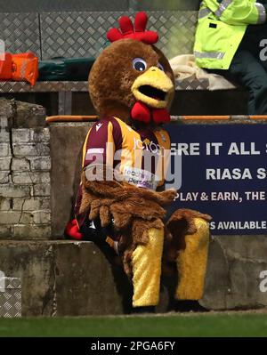 La mascotte de Bradford City Billy Bantam pendant le match de la Sky Bet League Two au stade de l'Université de Bradford, Bradford. Date de la photo: Mardi 21 mars 2023. Banque D'Images