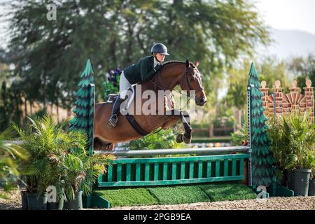 Un pilote équestre participe à la Hunter Division pendant le circuit d'hiver 2023 au Desert International Horse Park en Californie, aux États-Unis. Banque D'Images