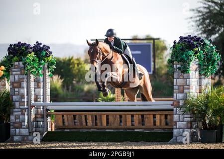 Un pilote équestre participe à la Hunter Division pendant le circuit d'hiver 2023 au Desert International Horse Park en Californie, aux États-Unis. Banque D'Images