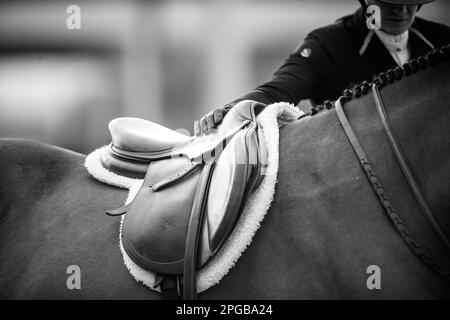 Un pilote équestre participe à la Hunter Division pendant le circuit d'hiver 2023 au Desert International Horse Park en Californie, aux États-Unis. Banque D'Images