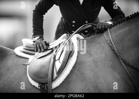 Un pilote équestre participe à la Hunter Division pendant le circuit d'hiver 2023 au Desert International Horse Park en Californie, aux États-Unis. Banque D'Images